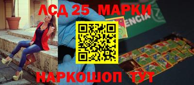 индика Аргун