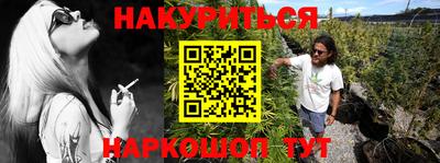 индика Аргун