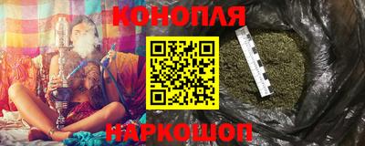 индика Аргун