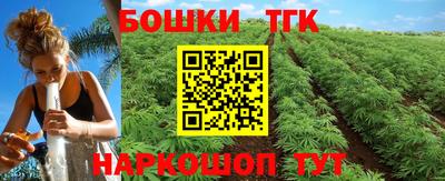 индика Аргун