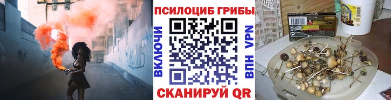 Псилоцибиновые грибы Psilocybine cubensis  Бугульма 
